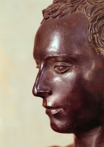 Busto di un gentiluomo (dettaglio)